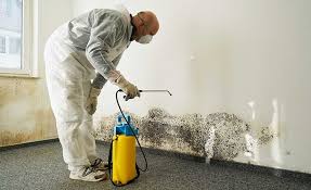 Best Environmental Consulting for Mold Prevention  in Lemoyne, PA