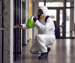 Best Commercial Mold Inspection  in Lemoyne, PA